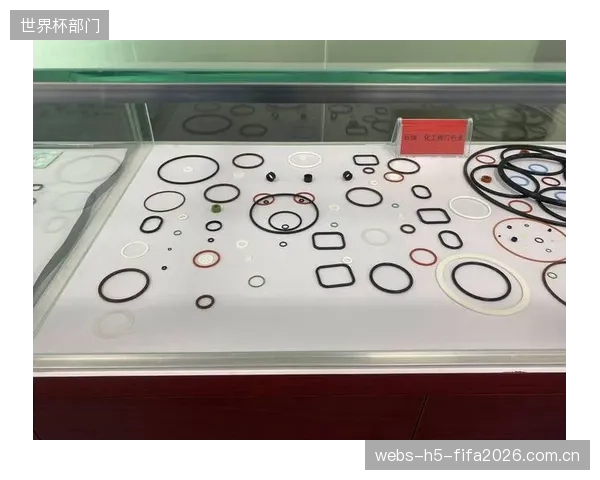 Whistler公园的严苛测试验证了SKF新款FKM密封圈在500小时高强度使用后,能有效抑制减震器的性能衰减 Whistler公园的严苛测试验证了SKF新款FKM密封圈在500小时高强度使用后,能有效抑制减震器的性能衰减